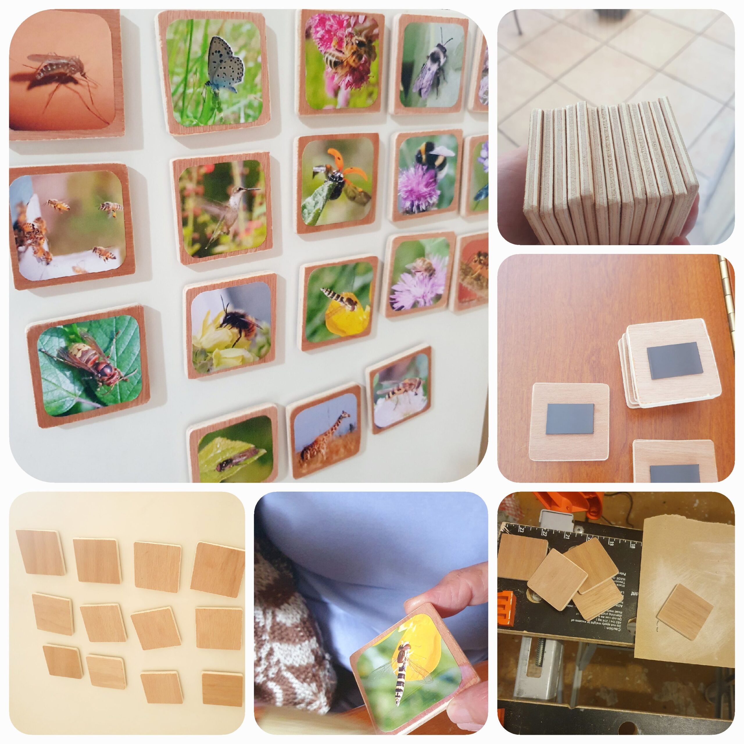 Création de jeux pédagogiques pour la Fête de la Nature 2025 !