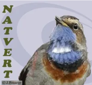 Conference Marguerite & les abeilles X Nature en Pays d’Arvert