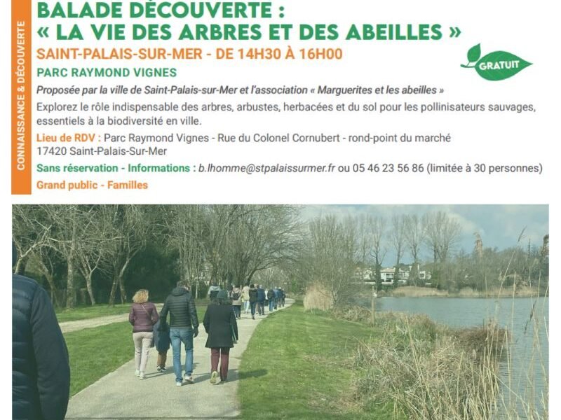 Balade découverte « La vie des arbres et des abeilles » le 18/04