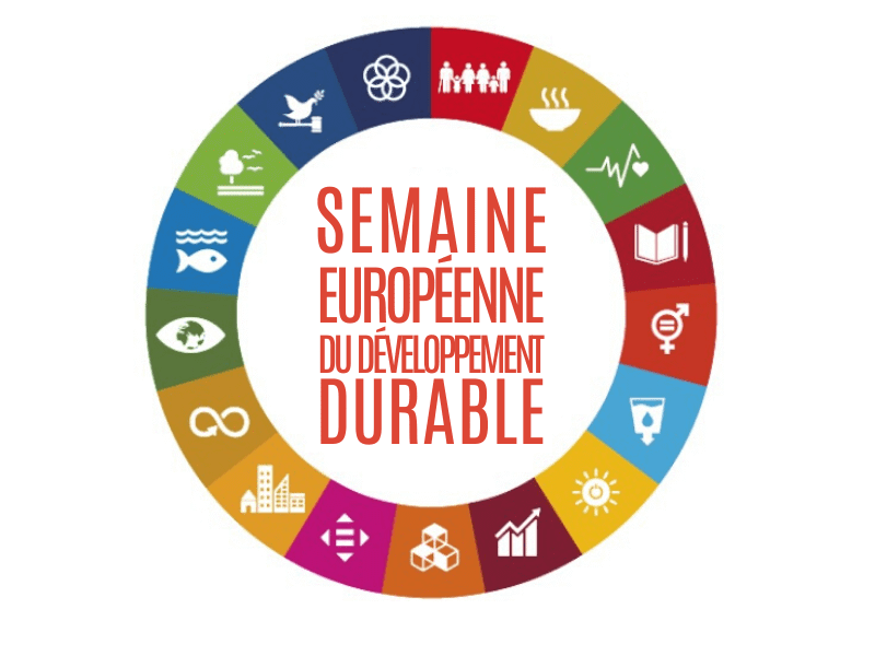 A Beauvoir-sur-Niort le 26 septembre, dans le cadre de la Semaine du Développement Durable, l&rsquo;association présentera les abeilles sauvages au grand public !