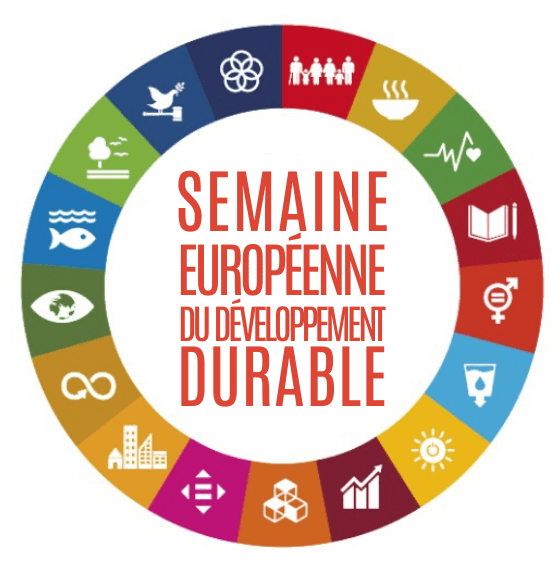 A Beauvoir-sur-Niort le 26 septembre, dans le cadre de la Semaine du Développement Durable, l’association présentera les abeilles sauvages au grand public !